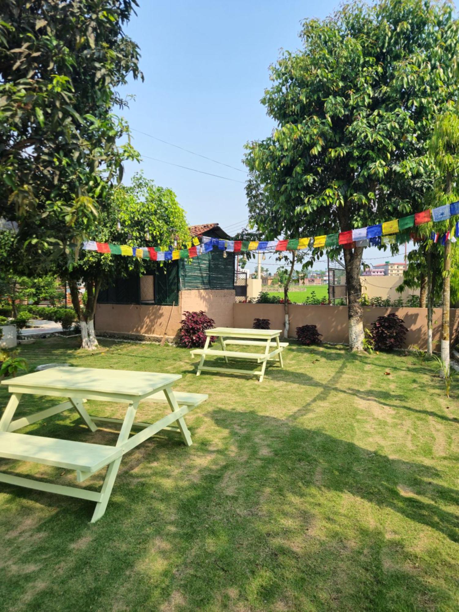 Hotel Tree Tops- A Serene Friendly Hotel In Sauraha Chitwan Zewnętrze zdjęcie