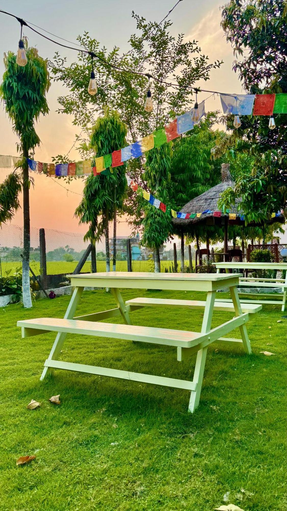 Hotel Tree Tops- A Serene Friendly Hotel In Sauraha Chitwan Zewnętrze zdjęcie